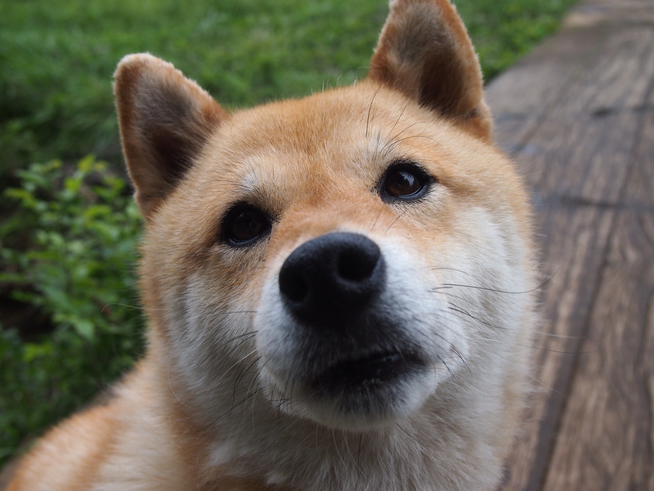 爱游戏真人体育娱乐-CS2 新赛季赛事全面展开，csgo2什么时候出