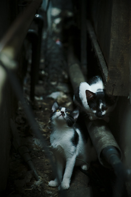 爱游戏体育APP下载-CS2 新赛季赛程安排合理，cs2游戏